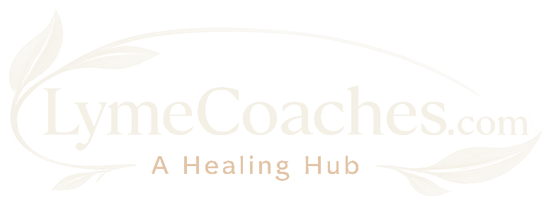 Lyme Coaches