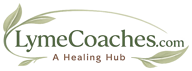 Lyme Coaches